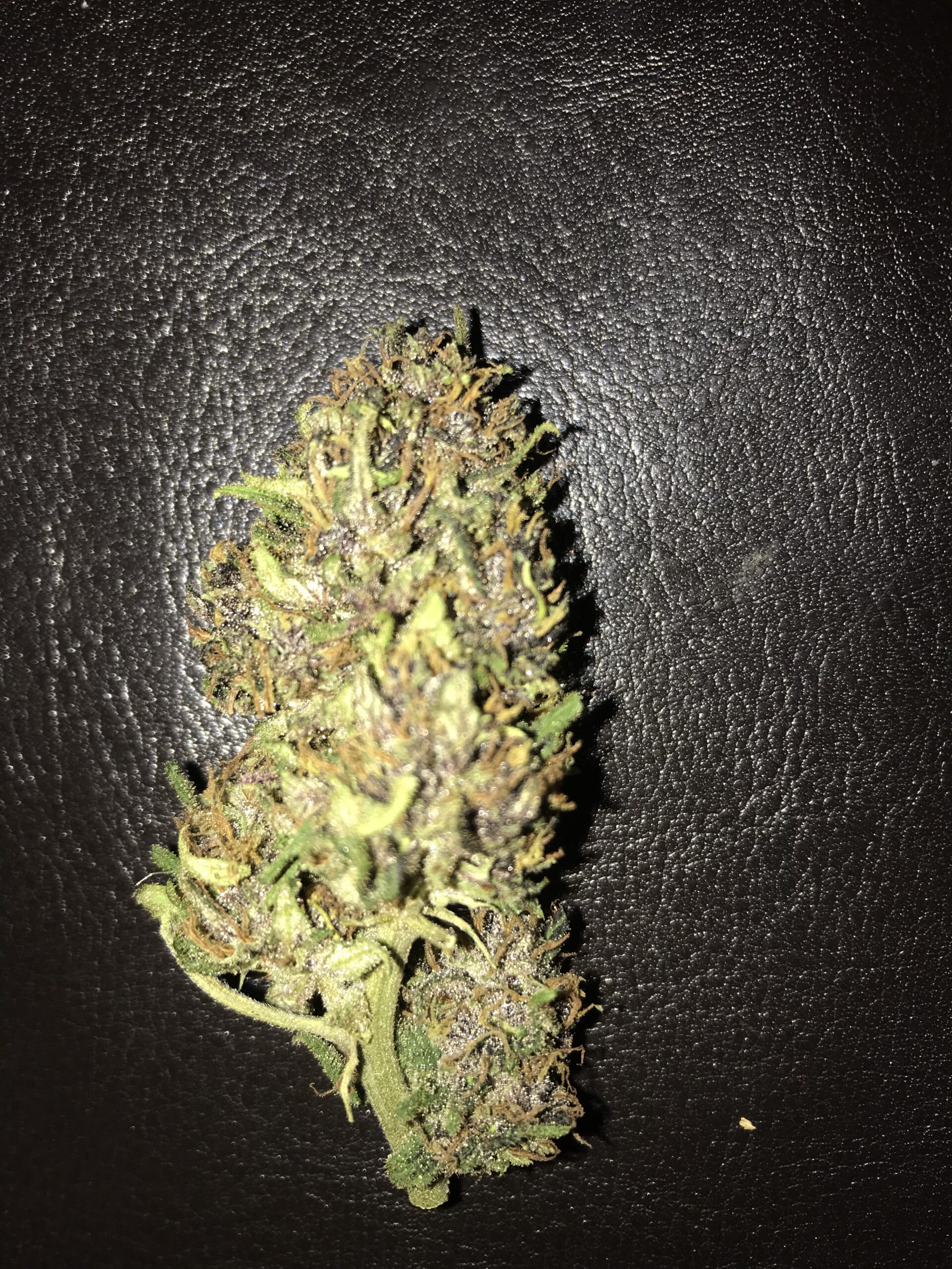 Lemon Cream Pie – Image 2